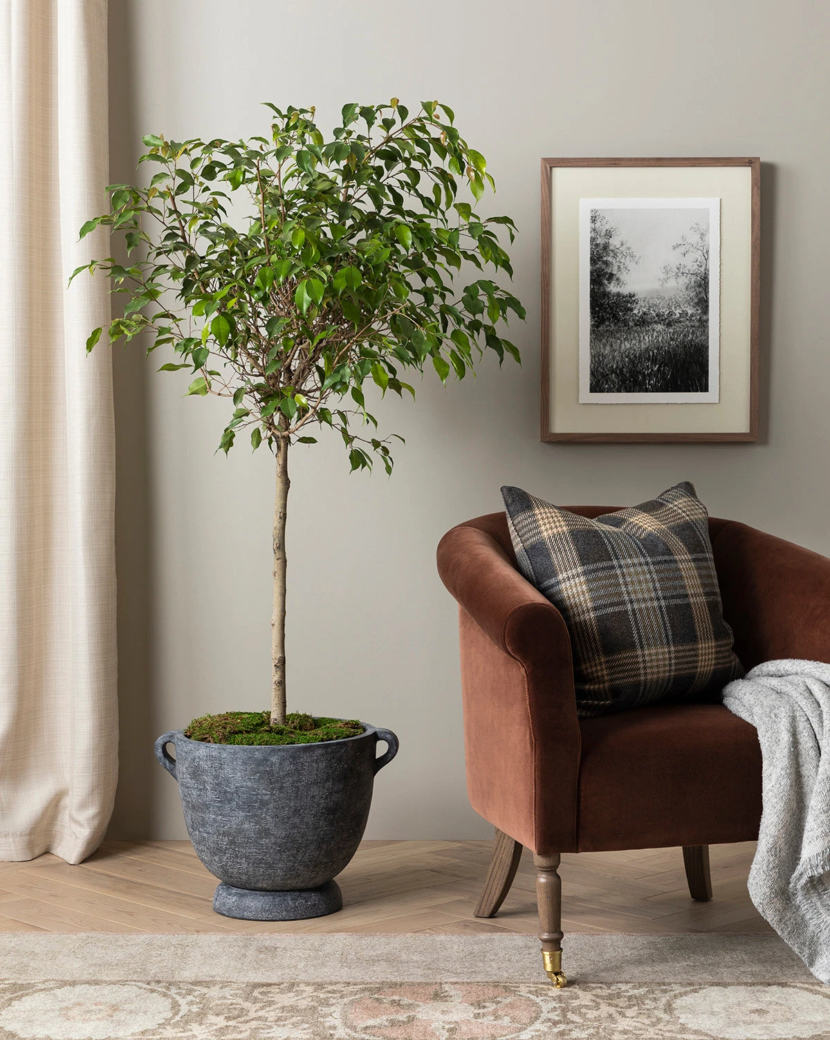 Cleo Terracotta Planter 4 Cleo Terracotta Planter - Image 2