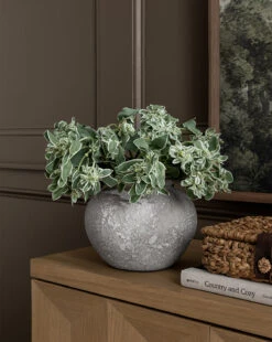 Luna Distressed Vase -Bloomingville Shop 20230913 SS Furniture Decor 015 T