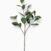 Faux Gardenia Leaf Stem -Bloomingville Shop FauxGardeniaLeafStem MDCR2729 GRN OS MAIN T