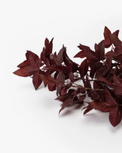 Faux Maple Leaf Stem -Bloomingville Shop FauxMapleLeafStem MDCR2726 PUR OS D1 T