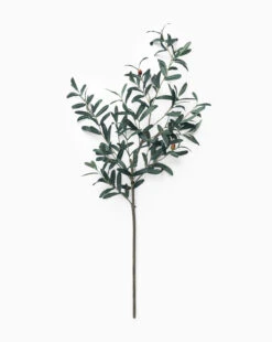 Faux Olive 36" Branch