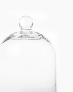 Glass Cloche -Bloomingville Shop GlassCloche MDCR1876 GLS OS D1