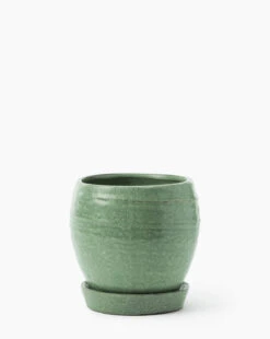 Jaycee Green Pot -Bloomingville Shop JayceeGreenPot MDCR2834 GRN L MAIN T