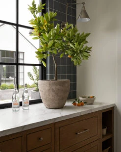 Textured Concrete Pot 8 Textured Concrete Pot -Bloomingville Shop Mishurda Batch4 8