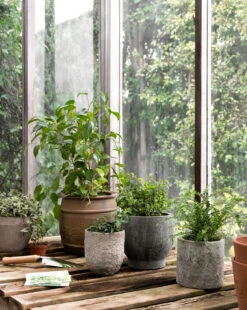 Golden Cement Pot -Bloomingville Shop Styled Outdoor 29 630705ed b697 427b 827b fe55964e327b