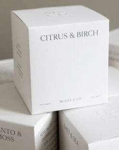 Citrus & Birch Candle -Bloomingville Shop fragrance templated 8
